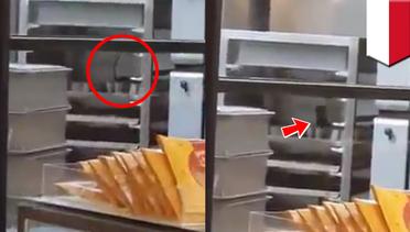 Terekam video! Tikus di dapur Bread Talk - TomoNews