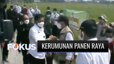 Panen Raya di Kabupaten Bekasi yang Dihadiri Menteri Pertanian Timbulkan Kerumunan Warga | Fokus