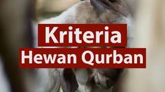 Kriteria Hewan Qurban