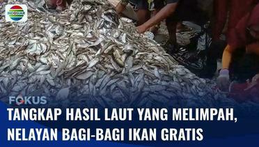 Nelayan di Bengkulu Bagi-Bagi Ikan Gratis usai Mendapatkan Tangkapan Laut yang Melimpah | Fokus