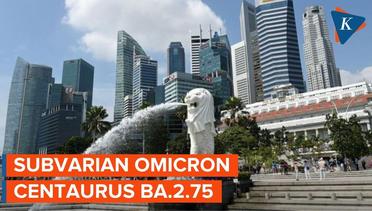 Singapura Laporkan 2 Kasus Impor Subvarian Omicron Centaurus  BA.2.75