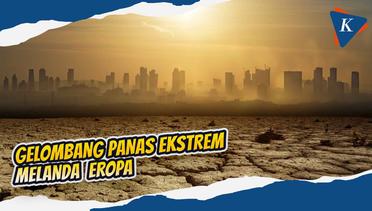 Kenapa Gelombang Panas Bisa Menyebabkan Kematian Seperti di Eropa?