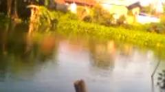 spot mancing di sungai cimanuk indramayu