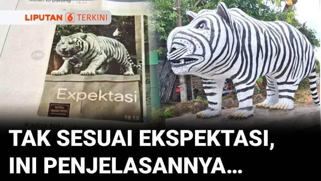 Viral Patung Macan Putih Tak Sesuai Ekspektasi, Ini Penjelasan Kepala Desa | Liputan 6