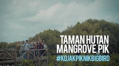 Piknik ke Taman Hutan Mangrove PIK #KoJakPiknikBigBird