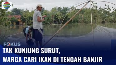 Warga Manfaatkan Sawah yang Terkena Banjir untuk Cari Ikan | Fokus