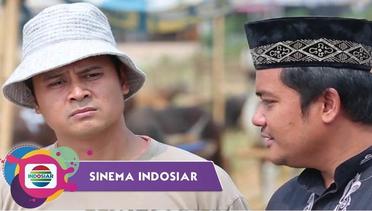 Sinema Indosiar - Kisah Pemulung Yang Berkurban Sapi