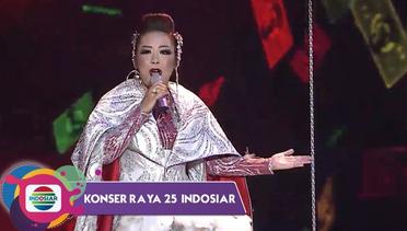 BENAR-BENAR JURAGAN!!! "Woyo Woyo" Soimah Melayang di Panggung Konser Raya 25 Tahun Indosiar
