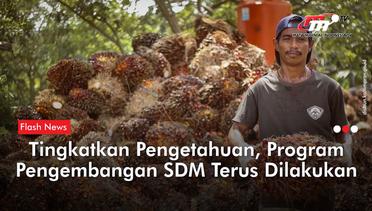 Program Pengembangan SDM Tingkatkan Profesionalisme Petani Sawit | Flash News