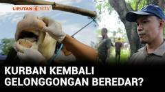 Jelang Iduladha, Waspadai Ulah Sejumlah Pedagang Sapi Kurban Gelonggongan | Liputan 6
