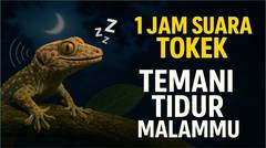 1 Jam Suara Tokek Bikin Anak Cepat Tidur