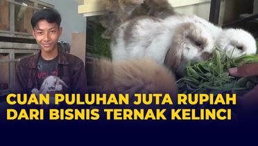 Mahasiswa di Palembang Cuan Puluhan Juta Rupiah dari Bisnis Ternak Kelinci