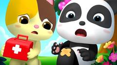 Bayi Panda Miumiu Jatuh Dan Dia Terluka
