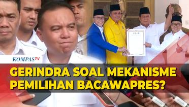 Gerindra Buka Suara Terkait Mekanisme Pemilihan Bakal Cawapres Prabowo Subianto