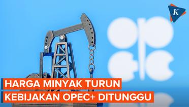 Harga Minyak Turun, Investor Menunggu Kebijakan OPEC