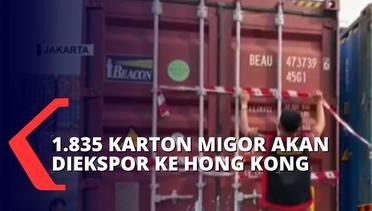Kejaksaan Tinggi DKI Jakarta Temukan Ribuan Karton Minyak Goreng yang Akan Diekspor ke Hongkong!