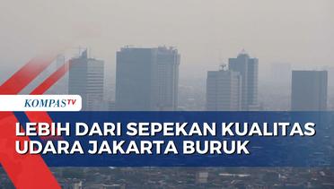 Polusi Udara Jakarta Buruk, PJ Gubernur DKI: Tambah Ruang Hijau