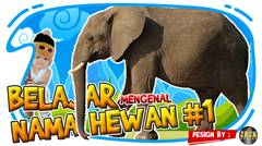 BELAJAR MENGENAL NAMA HEWAN #1 | BAHASA INDONESIA