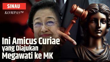 Mengenal Amicus Curiae yang Diajukan Megawati ke MK | SINAU