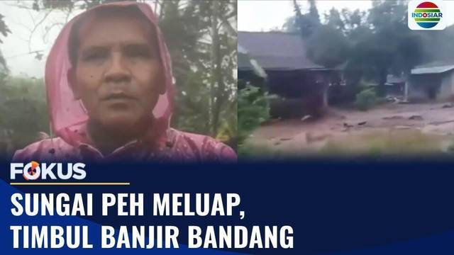 Air Sungai Peh Meluap Cepat! Banjir Hantam Permukiman Warga di Bondowoso | Fokus