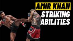 Amir Khan’s KNOCKOUT Striking Abilities