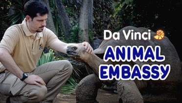 Animal Embassy - Da Vinci