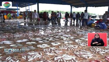 Suasana Pelelangan Ikan di Tangerang Banten - Fokus Sore