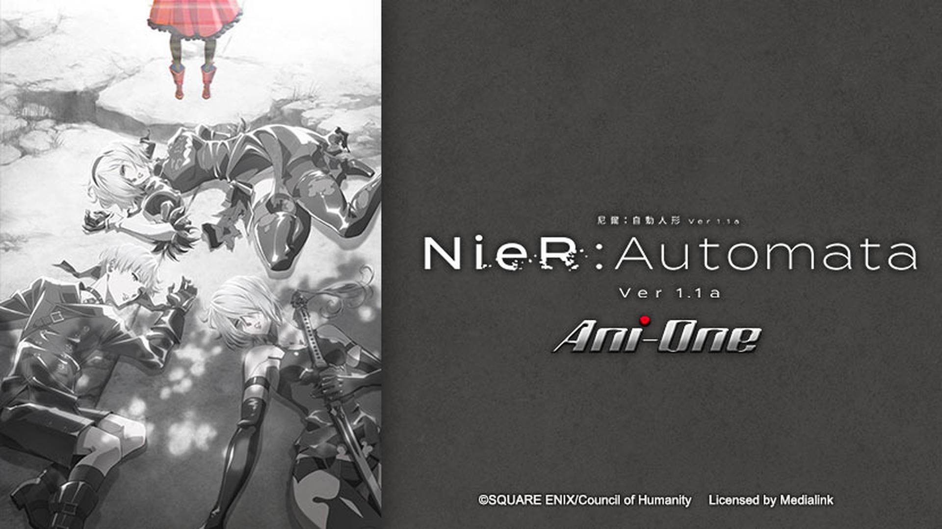 NieR : Automata Ver1.1a