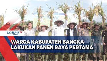 Petani Kabupaten Bangka Lakukan Panen Raya Pertama