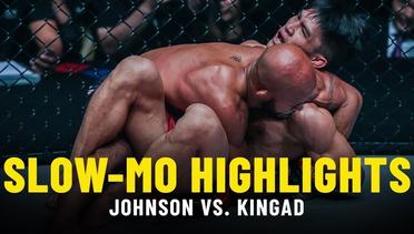 Demetrious Johnson vs. Danny Kingad - Slow-Mo Fight Highlights