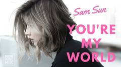 SAM SUN - You're My World 