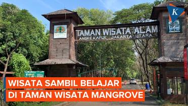 Taman Wisata Mangrove Kapuk Jadi Sarana Berlibur sambil Belajar
