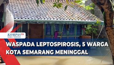 Waspada Leptospirosis, 5 Warga Kota Semarang Meninggal