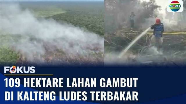 Kebakaran Lahan Gambut di Kapuas Meluas, Petugas Kesulitan Padamkan Api Akibat Sumber Air Jauh | Fokus