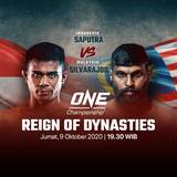 REIGN OF DYNASTIES