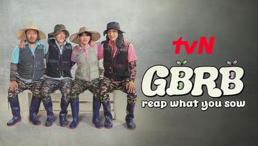 TVN