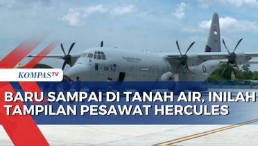 Ini Dia! Penampakan Pesawat Super Hercules Pertama Milik TNI AU yang Sampai di Tanah Air