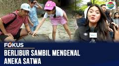Pengunjung dapat Berinteraksi Dengan Satwa Jinak & Melihat Aksi Burung | Fokus