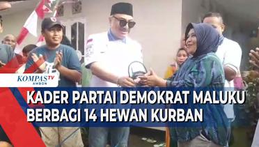 Kader Partai Demokrat Maluku Berbagi Hewan Kurban, Jumlahnya sesuai Nomor urut Partai