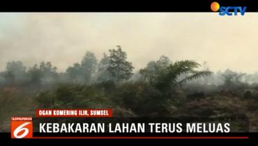 Kebakaran Lahan di Ogan Ilir Meluas, Petugas Kesulitan Padamkan Api- Liputan6 Terkini