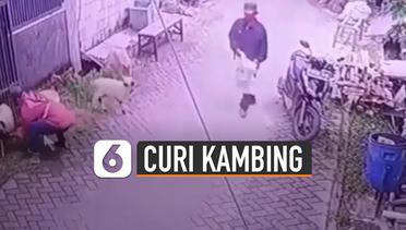 Rekaman CCTV Aksi Nekat Dua Pria Curi Kambing di Perumahan