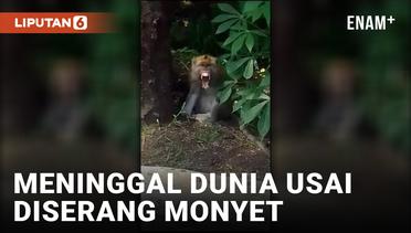 Diserang Monyet saat Buka Puasa, 1 Warga Garut Meninggal Dunia