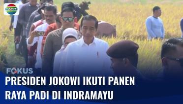 Presiden Jokowi Hadiri Panen Raya Padi di Indramayu, Pastikan Produksi dan Pasokan Beras Aman | Fokus