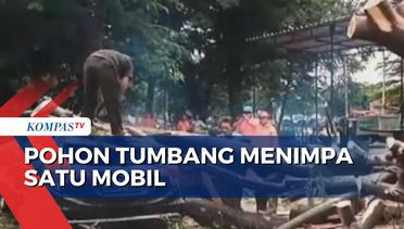 Pohon Tumbang Timpa Satu Mobil di Kembangan Jakarta, Tidak Ada Korban Jiwa