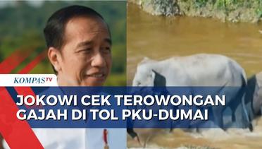 Tinjau Terowongan Gajah di Tol Pekanbaru-Dumai, Jokowi: Tetap Jaga Kelestarian dan Satwa Liar