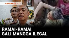 Warga Asahan Gali Mangga Ilegal Yang Sudah Dimusnahkan, Dimakan Bahkan Dijual Lagi | Liputan 6