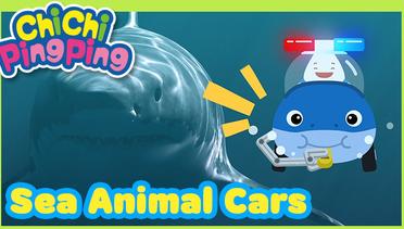 Mobil Hewan Laut