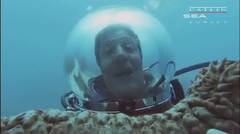 Underwater Classroom- SEA CUCUMBER