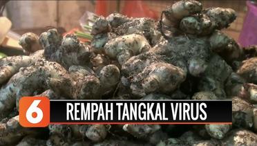Konsumsi Rempah-rempah Efektif Tangkal Virus?