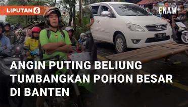 Viral Angin Puting Beliung Tumbangkan Pohon Besar di Banten